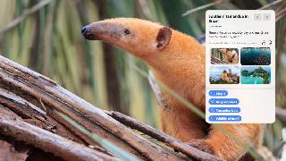 Python 圖片處理庫exifread詳解
