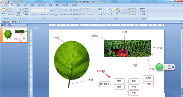 PPT如何制作結(jié)構(gòu)圖？PPT制作結(jié)構(gòu)圖教程
