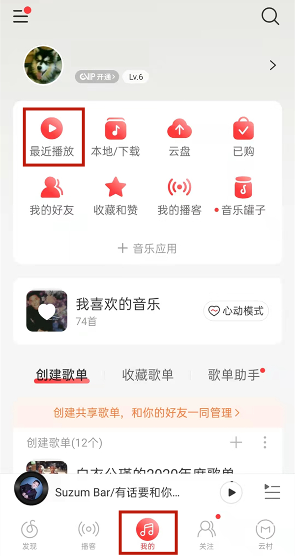 網(wǎng)易云一起聽(tīng)會(huì)顯示在播放列表嘛