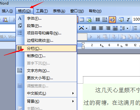 wps一分為二中間為豎虛線怎么弄？