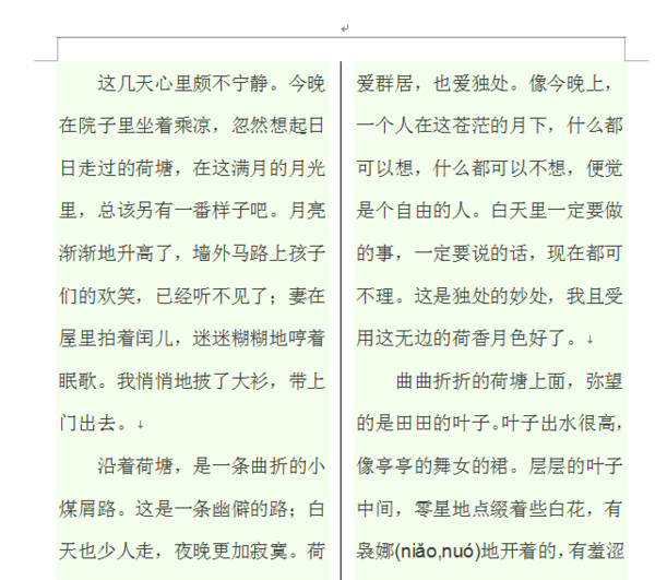 wps一分為二中間為豎虛線怎么弄？