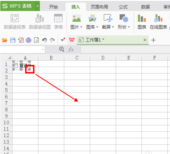 wps復選框怎么設置打勾?