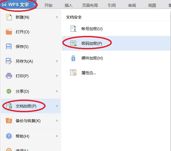 wps文檔怎么設(shè)置密碼保護(hù)?