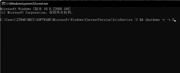 Win11設(shè)置無(wú)法打開(kāi)怎么辦？Win11設(shè)置無(wú)法打開(kāi)的解決方法