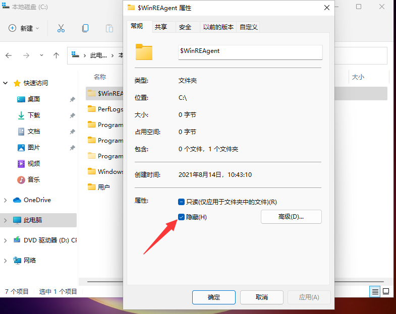Win11怎么查看隱藏文件和文件夾?Win11顯示隱藏文件的操作步驟