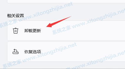 Win11一直閃屏怎么辦?Win11屏幕不停的閃爍怎么辦?