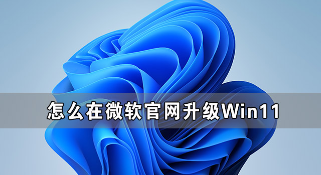 怎么在微軟官網(wǎng)升級(jí)Win11 Win11官方升級(jí)方法介紹
