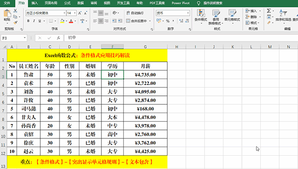 Excel 2019中使用條件格式分析數(shù)據(jù)的7類(lèi)方法教學(xué)