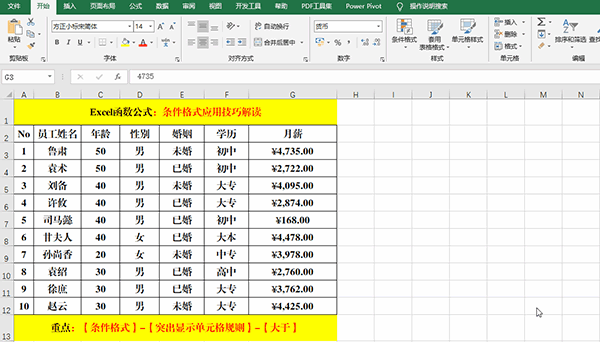 Excel 2019中使用條件格式分析數(shù)據(jù)的7類(lèi)方法教學(xué)