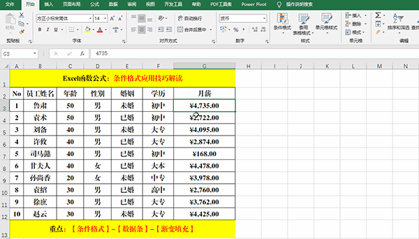 Excel 2019中使用條件格式分析數(shù)據(jù)的7類(lèi)方法教學(xué)