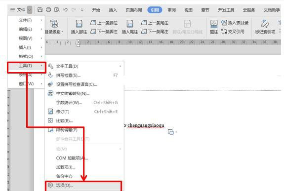 WPS/Word如何去除煩人的波浪線？兩步輕松去掉WPS/Word波浪線