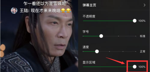 愛奇藝怎么設置彈幕顯示區域？6個步驟讓你輕松設置彈幕區域！