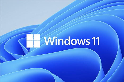 Win11外接顯示器沒(méi)反應(yīng)怎么辦?