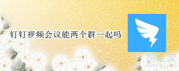 釘釘視頻會(huì)議能兩個(gè)群一起嗎