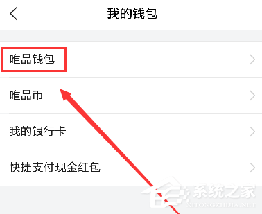 唯品會(huì)app如何進(jìn)行提現(xiàn)?唯品會(huì)app進(jìn)行提現(xiàn)的方法