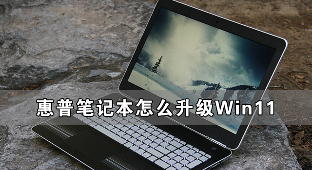 惠普筆記本怎么升級(jí)Win11 惠普筆記本升級(jí)Win11詳細(xì)教程