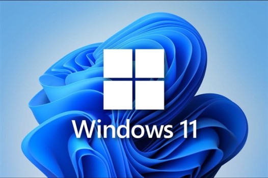 Win11不能參加預(yù)覽體驗(yàn)計(jì)劃怎么辦？Win11不能參加預(yù)覽體驗(yàn)計(jì)劃解決方法