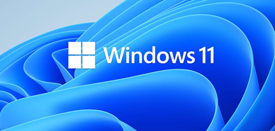 怎么免安裝體驗Win11？免安裝體驗Win11的方法