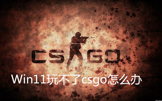 Win11玩不了csgo怎么辦？Win11玩不了csgo的解決方法