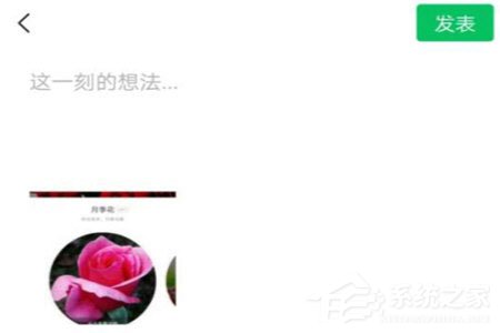 形色識花怎么分享到微信？形色識花怎么分享到微信的方法