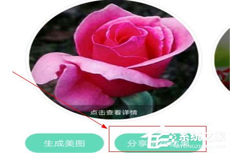 形色識花怎么分享到微信？形色識花怎么分享到微信的方法