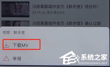 網(wǎng)易云音樂(lè)如何下載MV?網(wǎng)易云音樂(lè)下載MV的方法