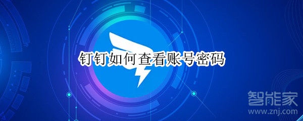 釘釘如何查看賬號(hào)密碼