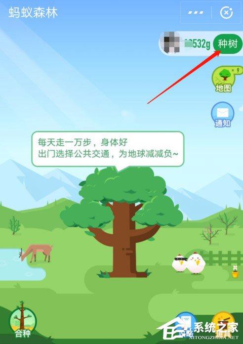 支付寶中怎么獲取螞蟻森林首頁小鹿？支付寶中獲取螞蟻森林首頁小鹿的方法