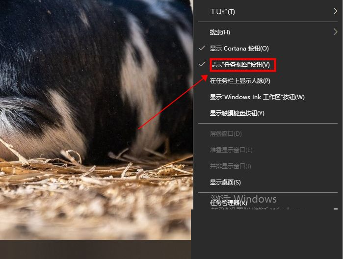 Win10專業(yè)版任務(wù)視圖快捷鍵是什么？Win10任務(wù)視圖打開的方法