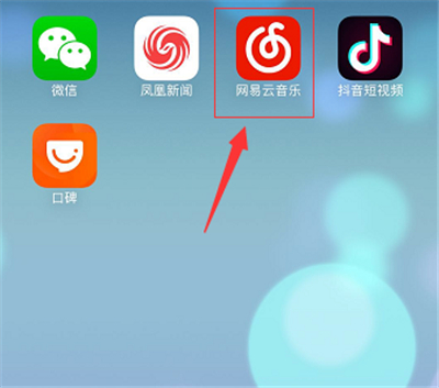 蘋果網(wǎng)易云下載的歌曲在哪里