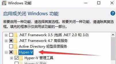 Win10沒有hyperv選項(xiàng)只有虛擬機(jī)平臺(tái)怎么回事?