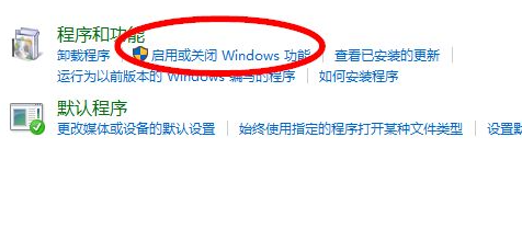 Win10電腦如何安裝IIS?Win10電腦安裝IIS詳細(xì)步驟教程