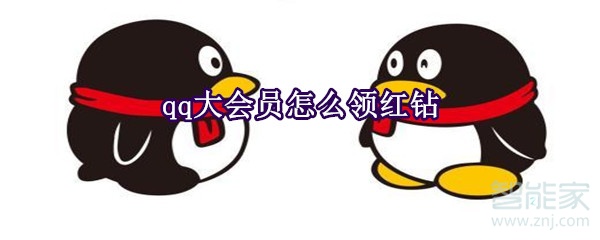 qq大會員怎么領(lǐng)紅鉆