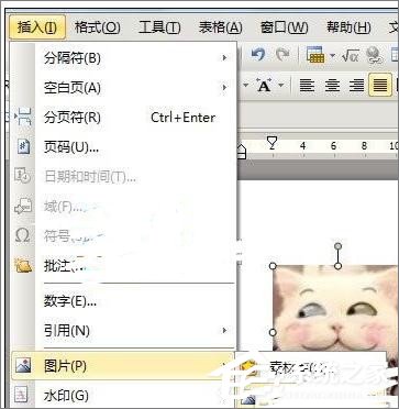 WPS文字怎么制作自定義模板？WPS制作自定義模板的方法