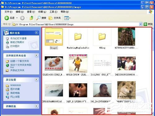 QQ表情在哪個文件夾里？查看QQ表情在哪個文件夾里的方法
