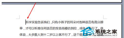 Word分頁(yè)符怎么用?Word插入分頁(yè)符的方法