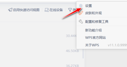 wps設(shè)置本地備份磁盤教程介紹