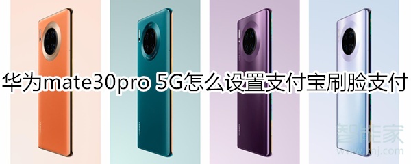 華為mate30pro 5G版怎么設(shè)置支付寶刷臉支付