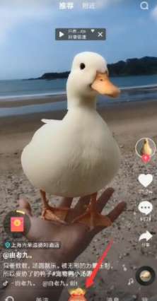 怎么填抖音極速版邀請碼？抖音極速版邀請碼填寫方法詳解