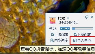 QQ拼音輸入法怎么點(diǎn)亮圖標(biāo) 點(diǎn)亮圖標(biāo)操作講解
