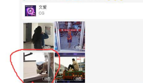 網易云音樂gif動圖怎么下載保存？下載保存gif動圖步驟分享