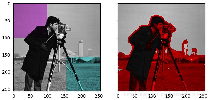 python庫skimage給灰度圖像染色的方法示例