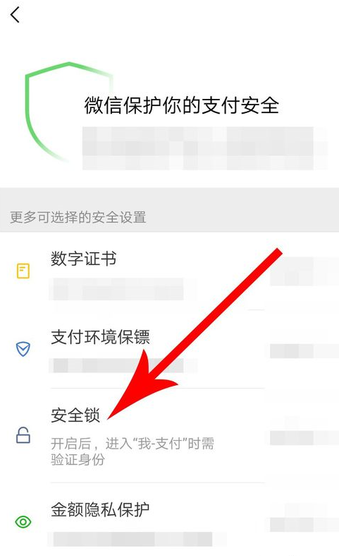微信APP怎么設(shè)置支付安全鎖？設(shè)置支付安全鎖方法講解