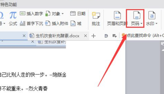 wps2007如何插入頁碼？wps2007插入頁碼圖文介紹