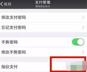 vivoz5手機(jī)微信指紋支付如何設(shè)置 微信指紋支付設(shè)置方法分享