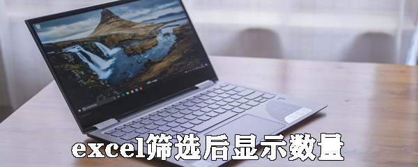 Excel怎么統(tǒng)計篩選后篩選的數(shù)據(jù)？統(tǒng)計篩選后篩選的數(shù)據(jù)方法分享
