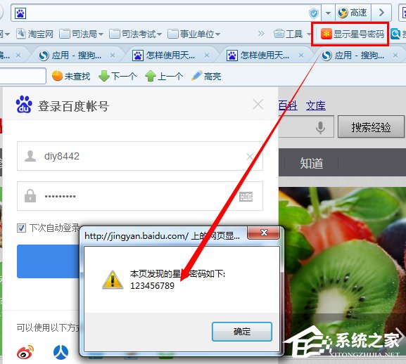 Windows7如何查看網(wǎng)頁星號(hào)密碼？