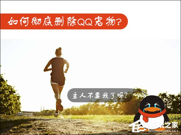 Win7如何卸載QQ寵物？關(guān)閉QQ寵物自動(dòng)登錄的方法