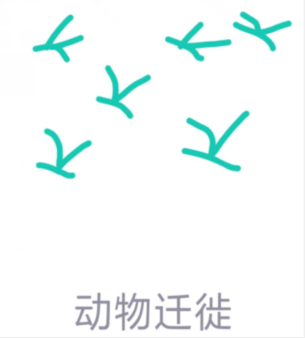 qq畫圖紅包動物遷徙怎么畫?QQ畫圖紅包動物遷徙畫法分享