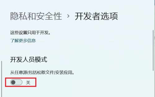 Win11怎么開啟開發者選項?Win11打開開發人員選項教程